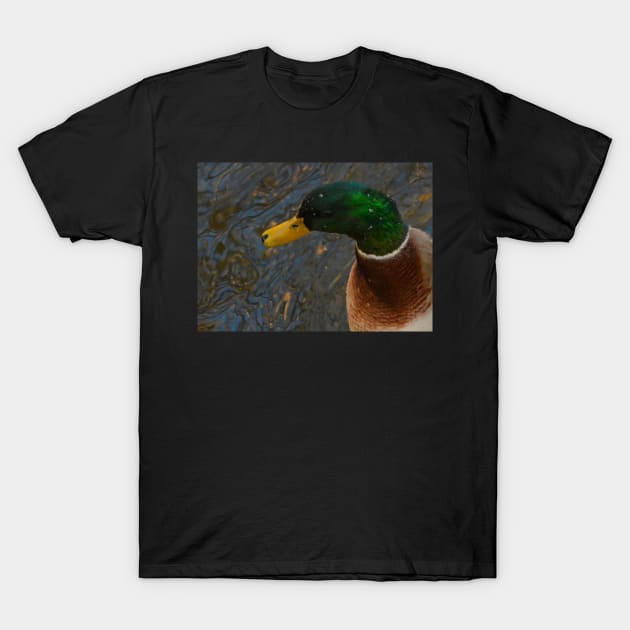 Mallard Drake T-Shirt by Whisperingpeaks